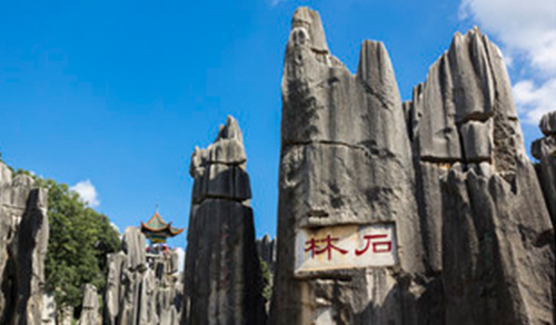 秋葵视频黄家具-昆明分公司